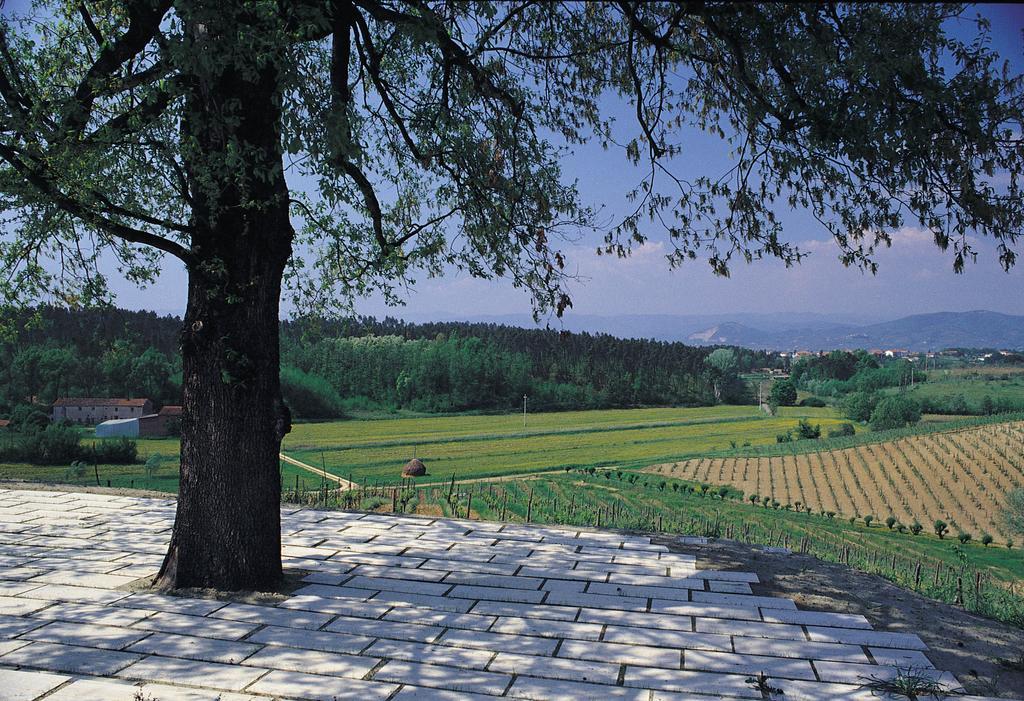 Agriturismo Le Due Querce Lazzeretto Exteriör bild